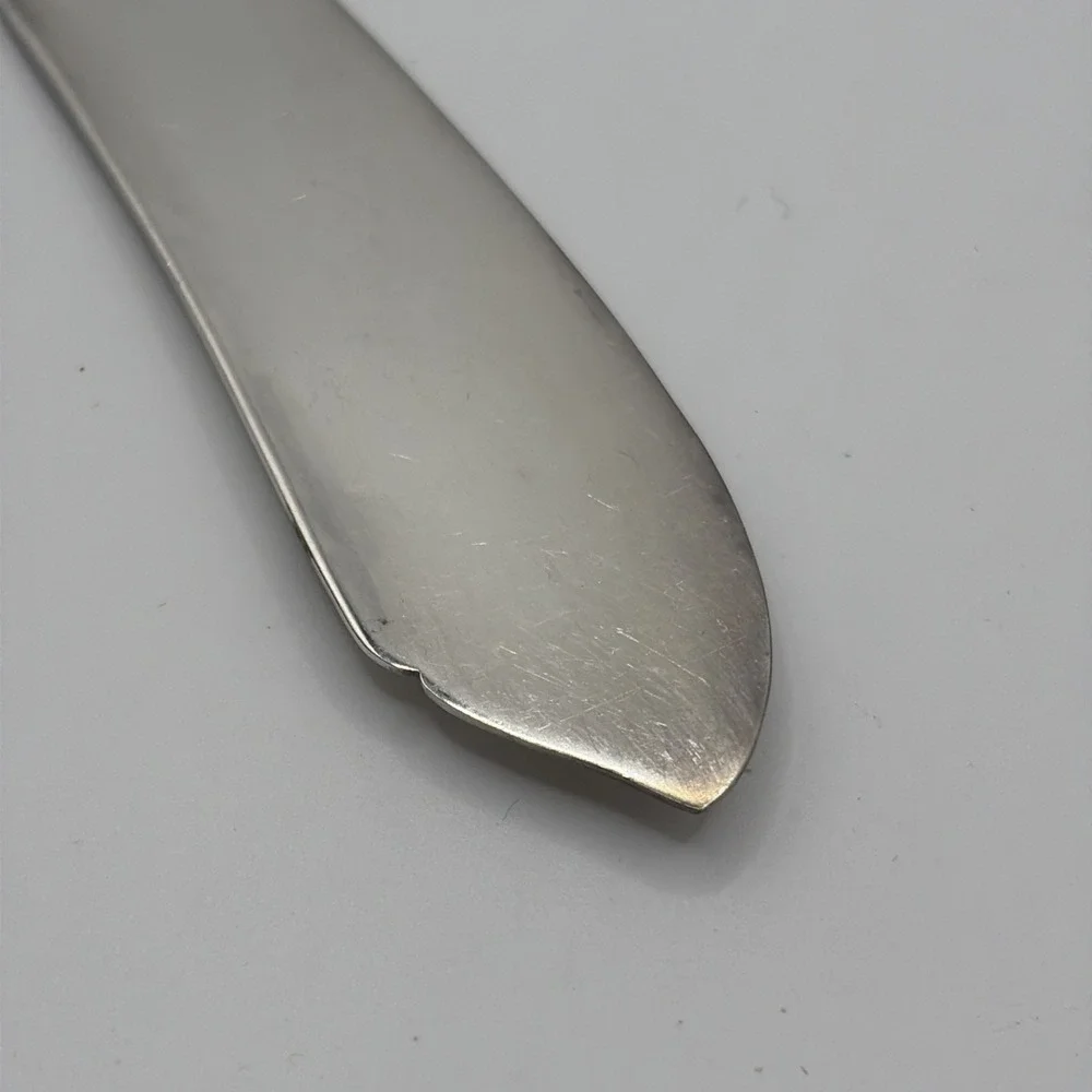 Butter Spreader Vintage ROGERS silverplate WILDWOOD ALWAYS pattern